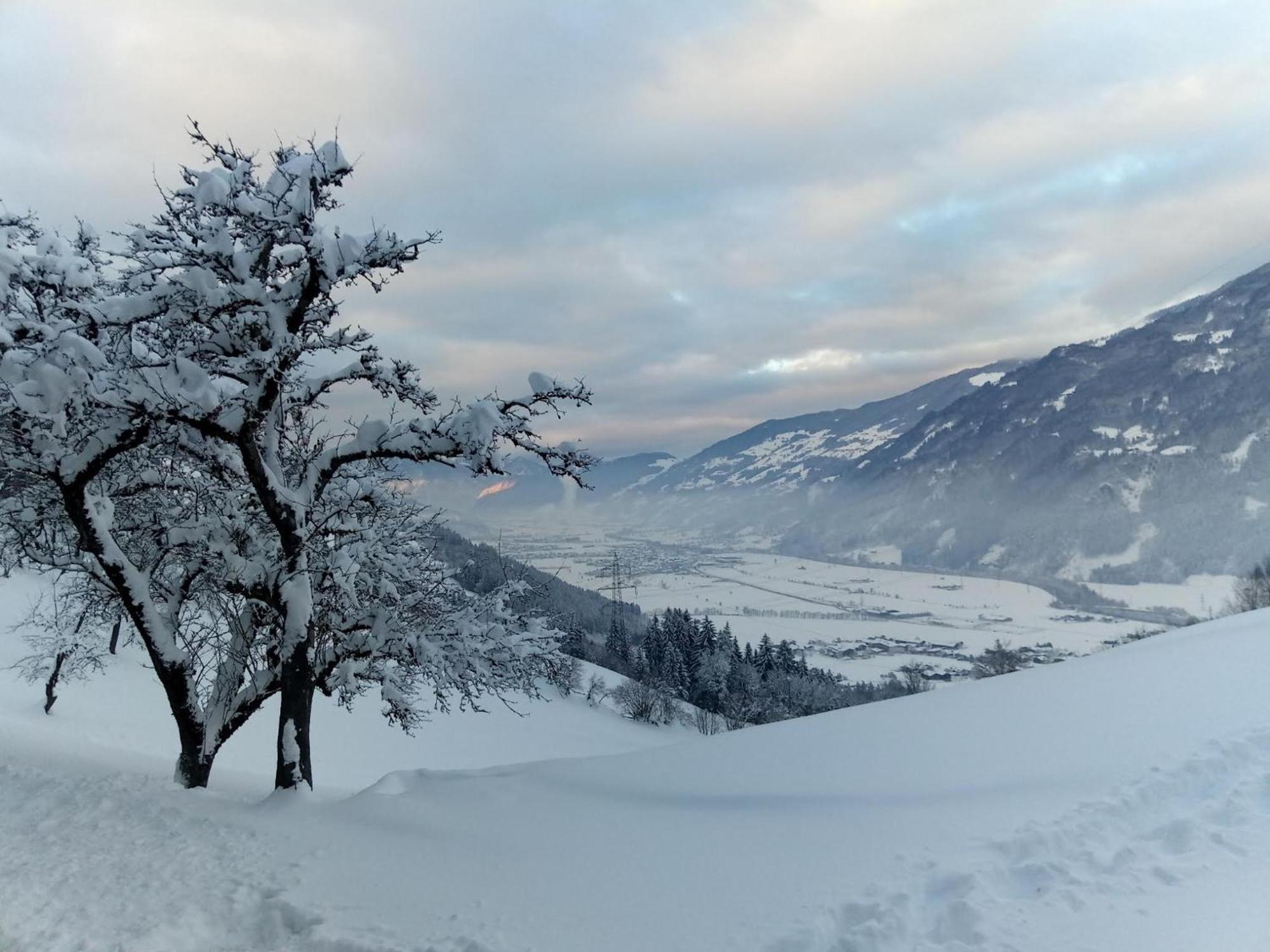 Wieshof Kaltenbach Luaran gambar
